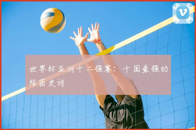 世界杯亚洲十二强赛：十国豪强的绿茵史诗