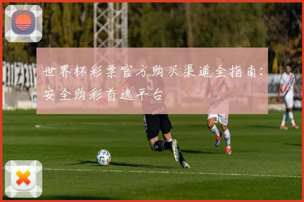 世界杯彩票官方购买渠道全指南：安全购彩首选平台