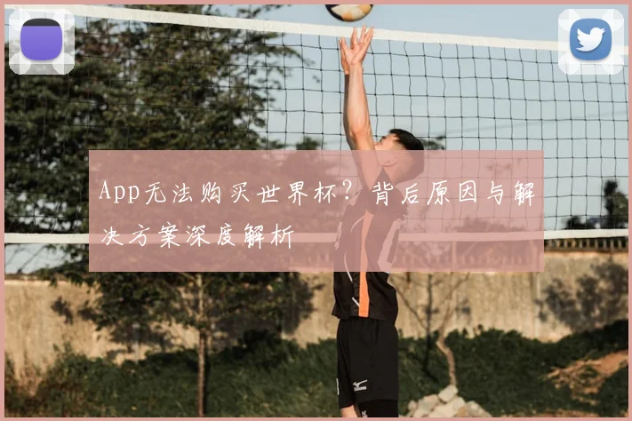 App无法购买世界杯?背后原因与解决方案深度解析