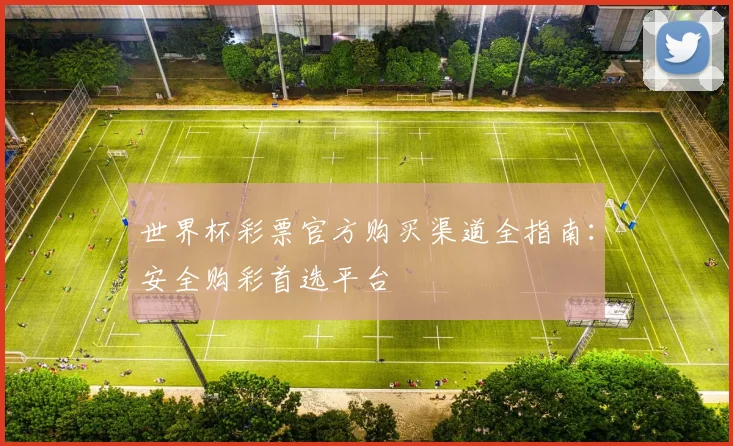 世界杯彩票官方购买渠道全指南：安全购彩首选平台