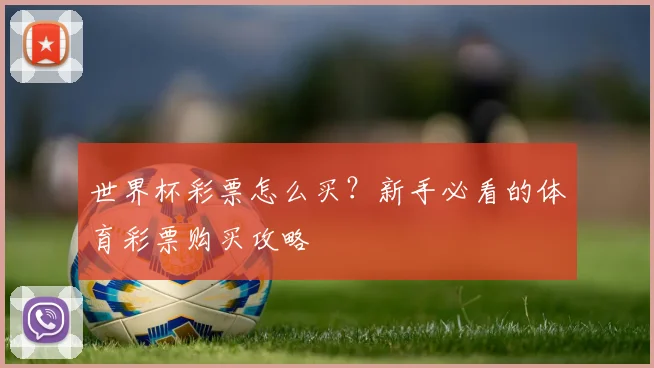 世界杯彩票怎么买？新手必看的体育彩票购买攻略