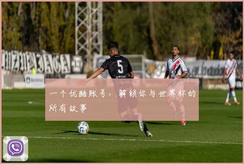 一个优酷账号，解锁你与世界杯的所有故事