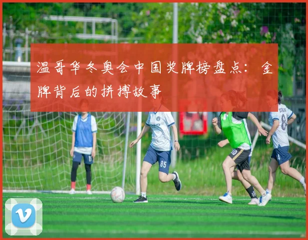 温哥华冬奥会中国奖牌榜盘点：金牌背后的拼搏故事