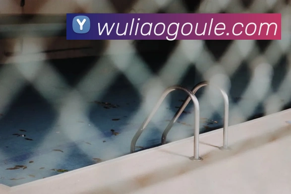 多媒体互动体验